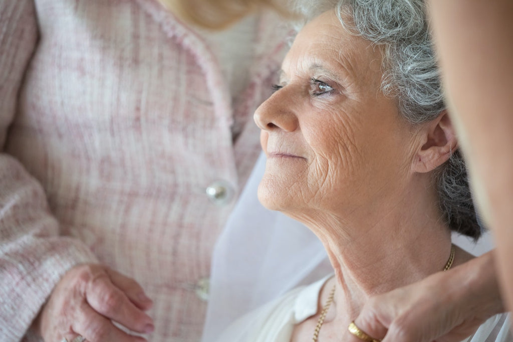 The Link Between Alzheimer’s Disease and Electromagnetic Fields Exposure