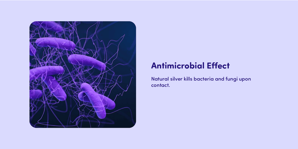 Antimicrobial Effect Natural silver kills bacteria and fungi upon contact. 