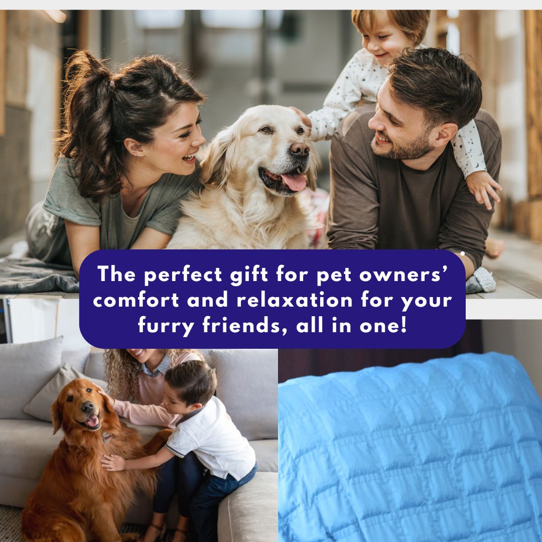 Golden Retriever Small Therapy Dogs For Anxiety Anxiety Emotional