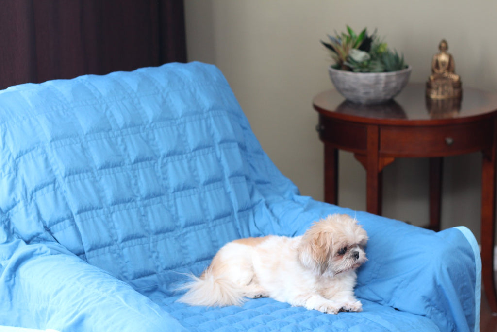 Infrared Health Pad for Dogs Product Image. A dog sitting on the health pad as it covers the armchair, receiving the health benefits provided by FIR energy.